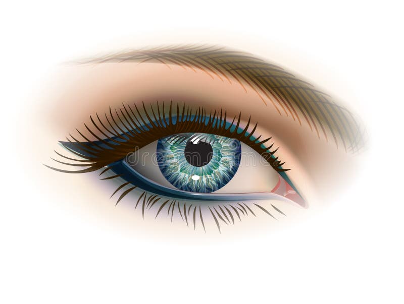 Kvinnliggrå färgöga med makeup vektor illustrationer Kvinnliggrå färgöga med makeup vektor illustrationer