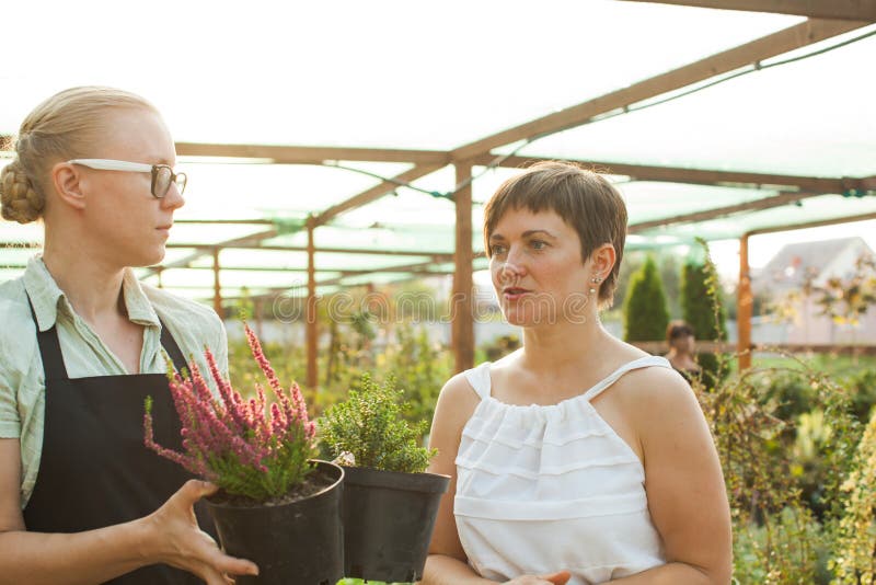 Kwiaciarnia demonstruje kwiaty w garnku zdjęcia stock Kwiaciarnia demonstruje kwiaty w garnku zdjęcia stock