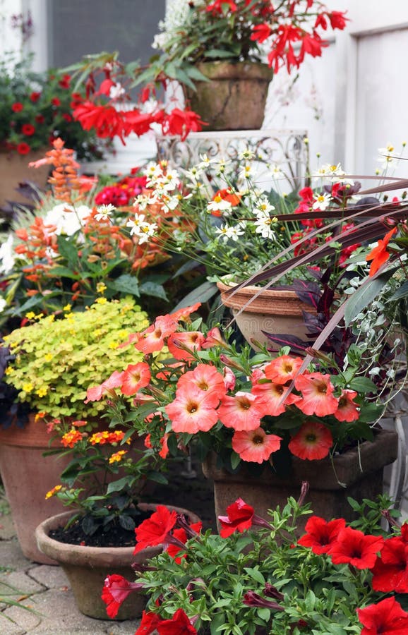 Kwiatonośne balkon rośliny w dekoracyjnych garnkach obraz stock Kwiatonośne balkon rośliny w dekoracyjnych garnkach obraz stock