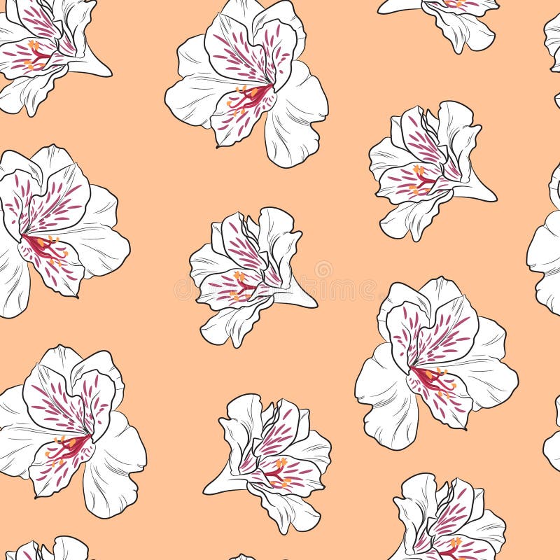 Kwiatu bezszwowy wzór z piękną alstroemeria lelują kwitnie na pomarańczowym tło szablonie ilustracji Kwiatu bezszwowy wzór z piękną alstroemeria lelują kwitnie na pomarańczowym tło szablonie ilustracji