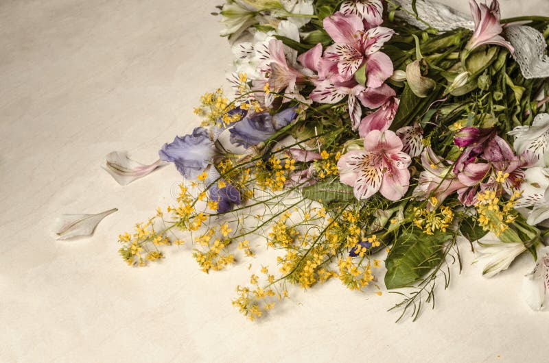 Kwiaty Alstroemeria z purpurowym irysem i żółci kwiaty dzikiej rzodkwi kłamstwa przy kątem obraz royalty free Kwiaty Alstroemeria z purpurowym irysem i żółci kwiaty dzikiej rzodkwi kłamstwa przy kątem obraz royalty free