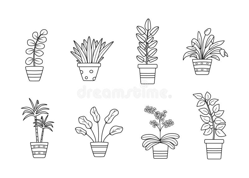 Kwiaty porcjowane wektor ilustracja zestaw kontur lody icons ficus dracaena orchid. ilustracja wektor