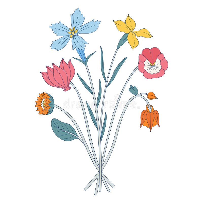 Kwiaty łąkowe zioła i dzikie rośliny ilustracji