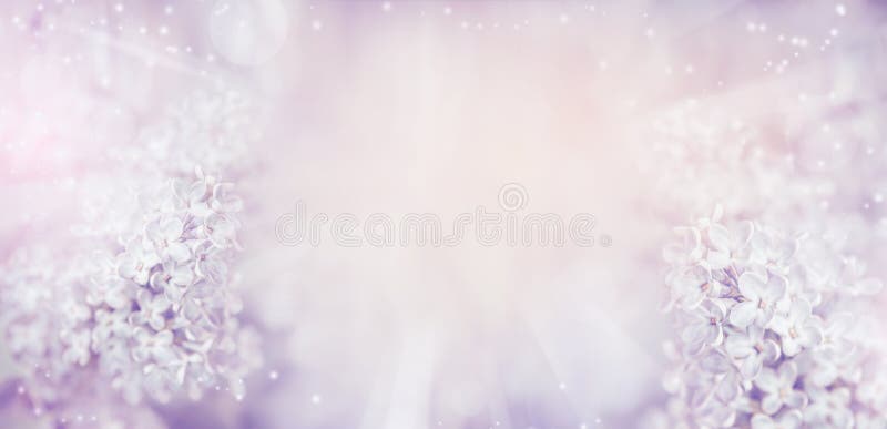 Kwiecisty natury tło z pięknym lekkim pastelowym bzem kwitnie zdjęcia royalty free