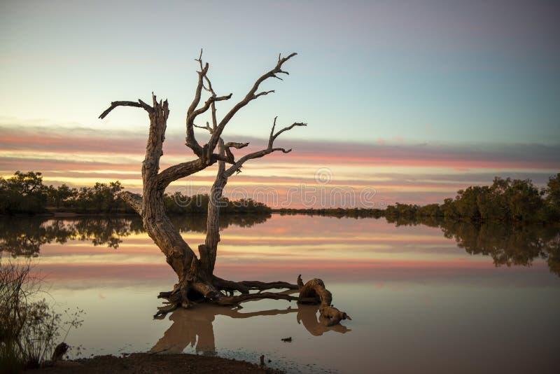 Kyabra creek  in far outback Queensland.