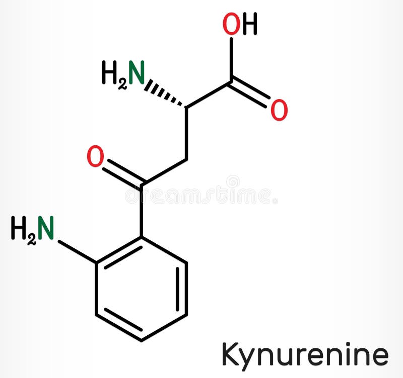 Kynurenine L Kynurenine C10h12o3n2 Molecule It Is A Metabolite Of The Amino Acid L Tryptophan Used In The Production Of Niacin Stock Illustration Illustration Of Formula Carbon