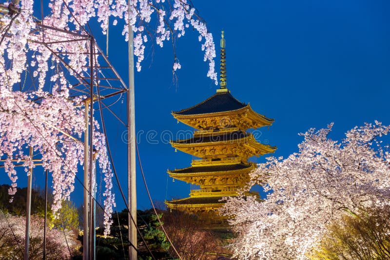 Kyoto, Japan bij Toji-Pagode met kersenblossomin ligh omhoog in nig stock afbeeldingen Kyoto, Japan bij Toji-Pagode met kersenblossomin ligh omhoog in nig stock afbeeldingen