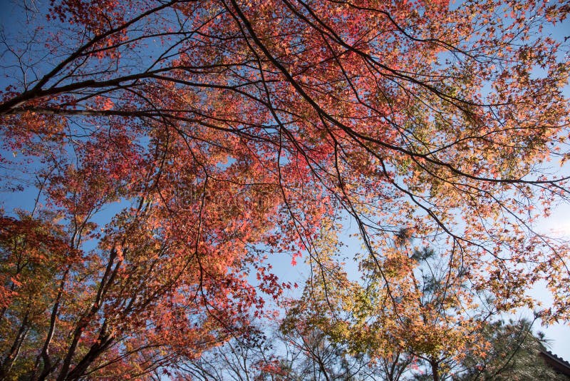 Kyoto, Japan De Tempel Tenryu -tenryu-ji in het Sagano-district in Kyo stock afbeelding Kyoto, Japan De Tempel Tenryu -tenryu-ji in het Sagano-district in Kyo stock afbeelding