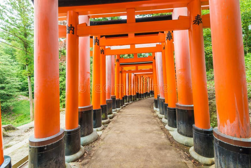 KYOTO JAPAN - MAJ 30, 2016: Den Fushimi Inari relikskrin är ett importan royaltyfri bild KYOTO JAPAN - MAJ 30, 2016: Den Fushimi Inari relikskrin är ett importan royaltyfri bild