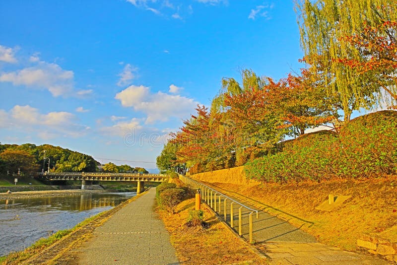 Kyoto, río de Japón Kamo en seaon de la caída imagen de archivo Kyoto, río de Japón Kamo en seaon de la caída imagen de archivo