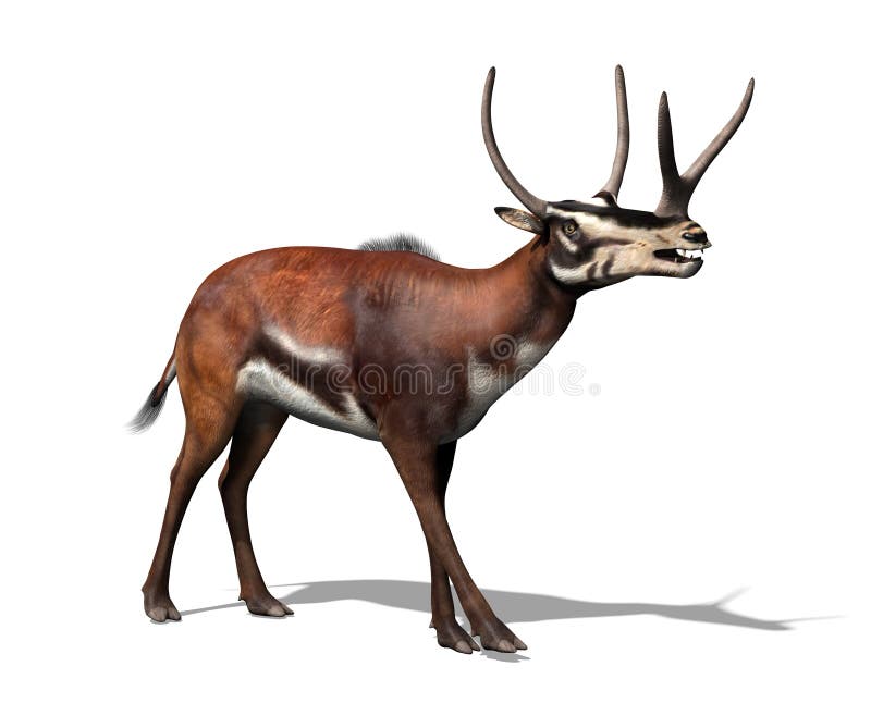 Kyptoceras Prehistoric Mammal Stock Illustration - Illustration of animal,  ancient: 113189361