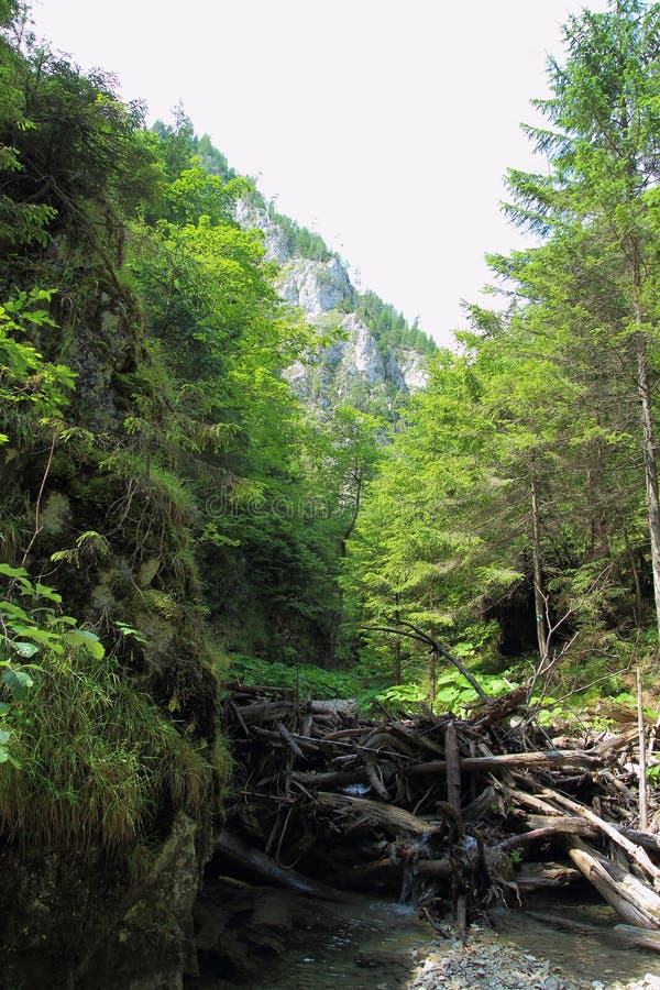Roklina Kysel v národním parku Slovenský ráj, Slovensko