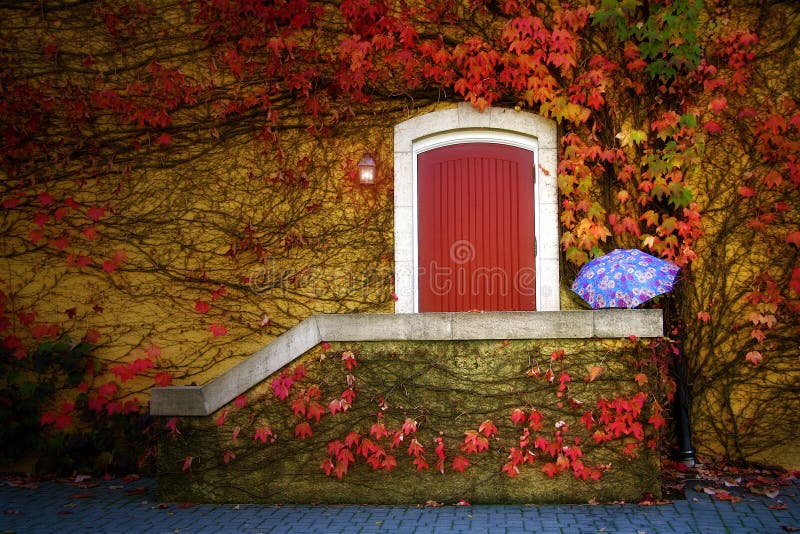 Vinkällare Vingårdstäckt Dörr fotografering för bildbyråer
