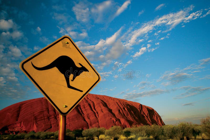Känguru Ayers Felsen stockbild Känguru Ayers Felsen stockbild