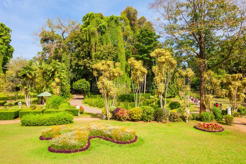Königliche botanische Gärten Peradeniya lizenzfreie stockfotos Königliche botanische Gärten Peradeniya lizenzfreie stockfotos