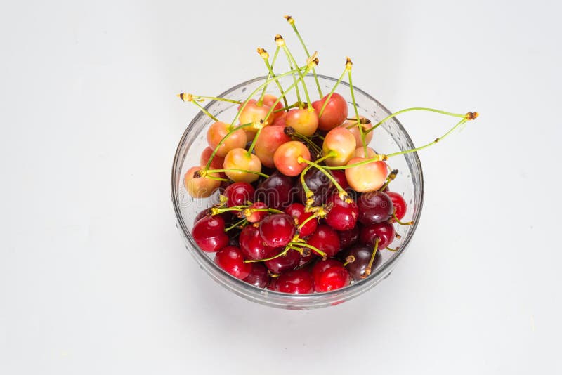 Körsbär Körsbär Körsbär i färgbunke och kökservett Rött körsbär nya Cherry fingrar för bakgrundsbärCherry håller white royaltyfria bilder Körsbär Körsbär Körsbär i färgbunke och kökservett Rött körsbär nya Cherry fingrar för bakgrundsbärCherry håller white royaltyfria bilder
