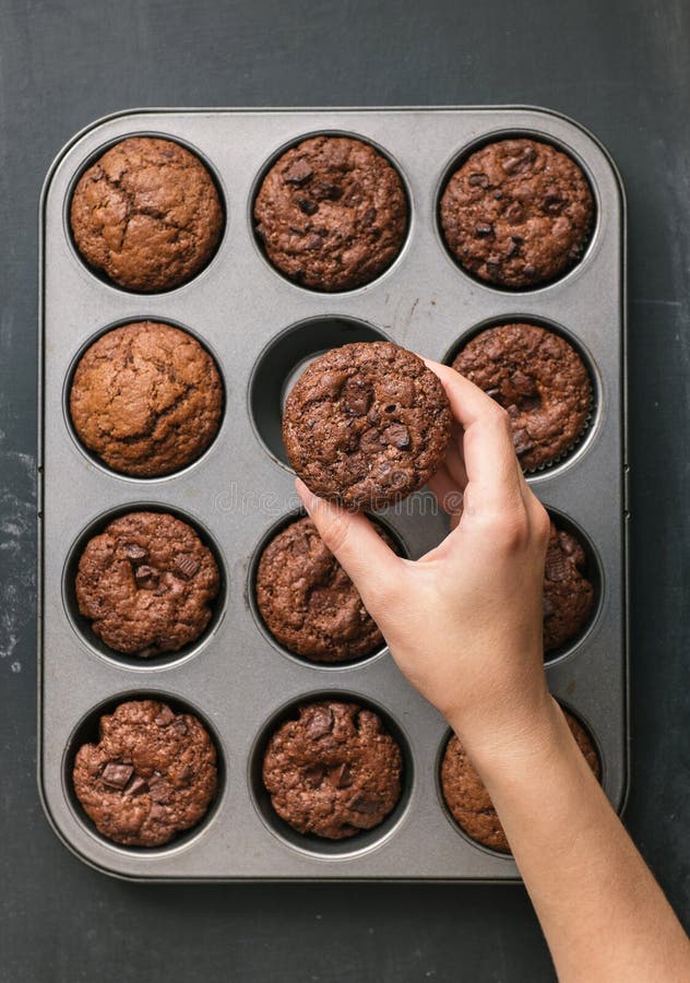 Köstliches Schokoladensplittermuffin stockfotografie Köstliches Schokoladensplittermuffin stockfotografie