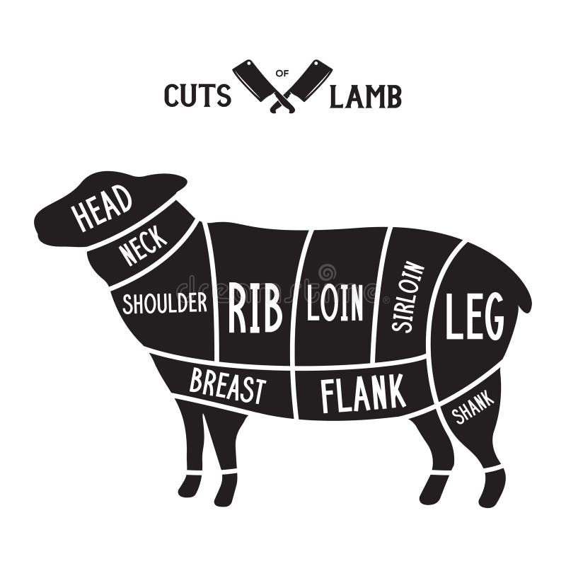 Köttstyckningsdelar - lamm Diagram för slaktare Viltvårdsplan Djursilhuetthlamm Handbok för skärning