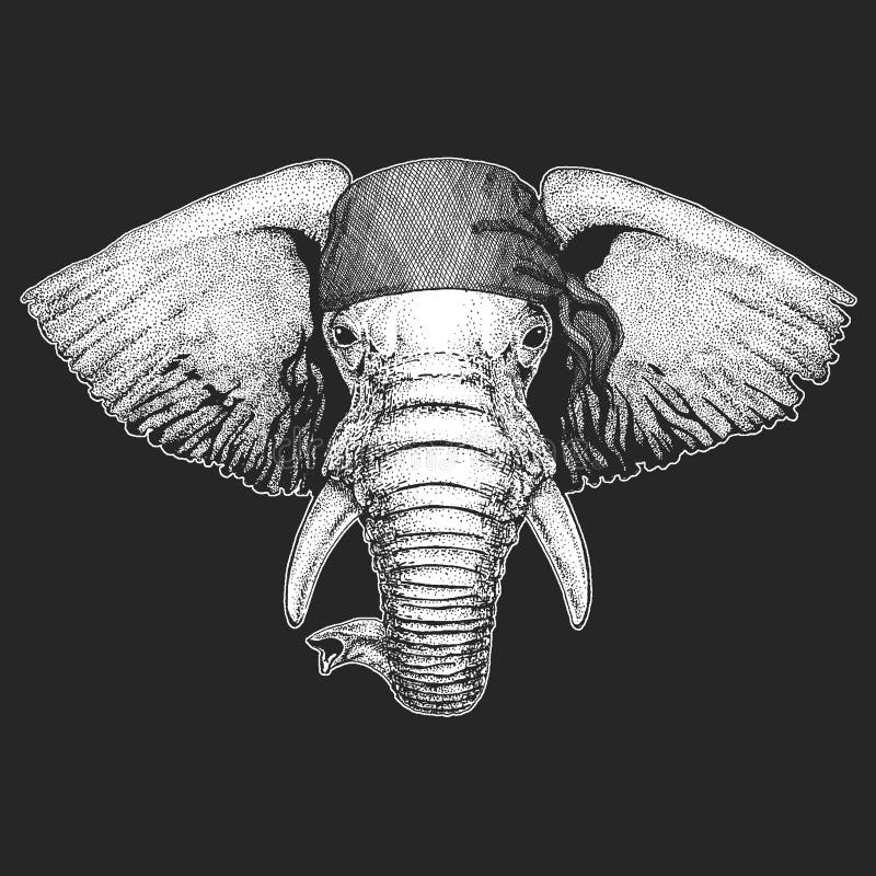 Kühler Pirat des afrikanischen oder indischen Elefanten, Matrose, seawolf, Seemann, Radfahrertier für Tätowierung, T-Shirt, Emble stock abbildung Kühler Pirat des afrikanischen oder indischen Elefanten, Matrose, seawolf, Seemann, Radfahrertier für Tätowierung, T-Shirt, Emble stock abbildung