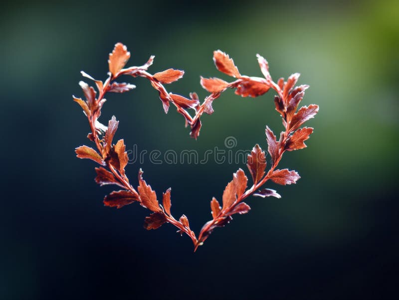 Künstlerischer Herzkranz aus zarten Herbstblättern auf warmen goldenen Hintergrund Natur inspiriert Romantik handgefertigte Liebe vektor abbildung