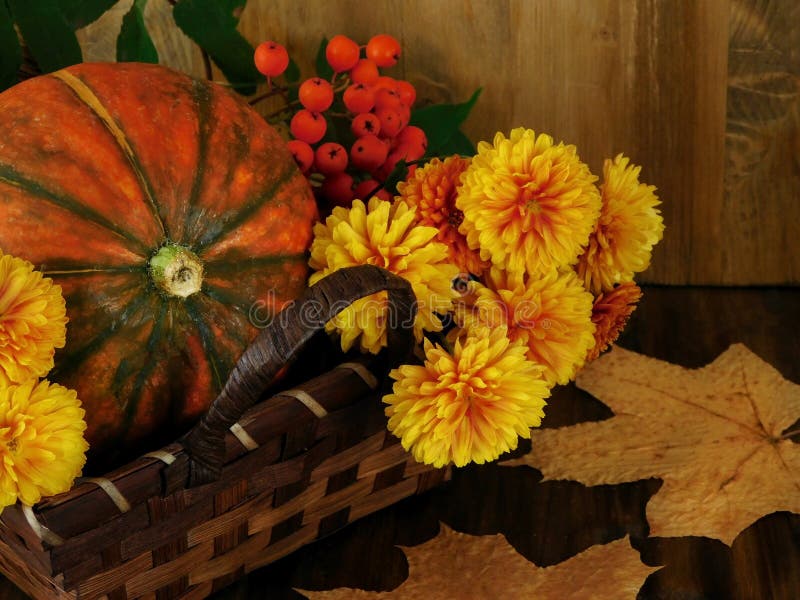 Kürbis in einem Weidenkorb mit Blumen, Eberesche und trocknen Blätter stockfotografie Kürbis in einem Weidenkorb mit Blumen, Eberesche und trocknen Blätter stockfotografie
