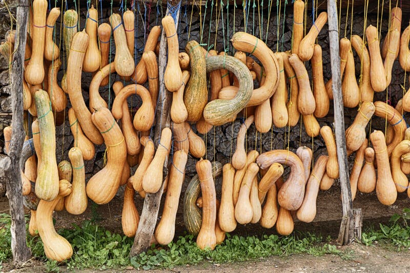 Kürbis für Verkauf in Marokko stockfotografie Kürbis für Verkauf in Marokko stockfotografie
