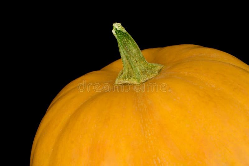 Kürbis getrennt auf Schwarzem lizenzfreie stockfotografie Kürbis getrennt auf Schwarzem lizenzfreie stockfotografie