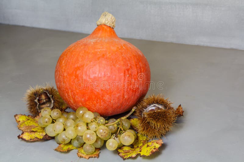 Kürbis, Kastanien, Hülsen, Weintraube, Eichel und Rebe verlassen lizenzfreie stockfotos Kürbis, Kastanien, Hülsen, Weintraube, Eichel und Rebe verlassen lizenzfreie stockfotos