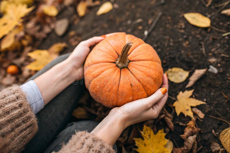 Kürbisweibchen für Herbstfeiern vektor abbildung