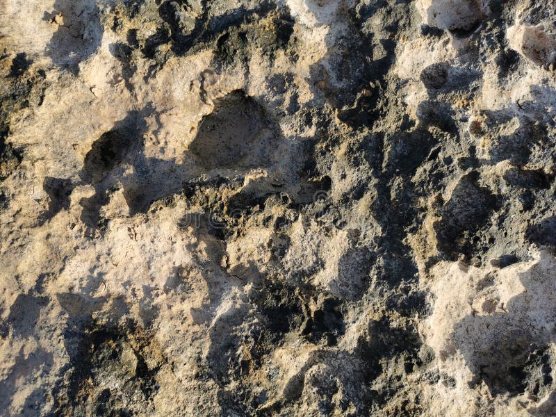 Protaras. Flamagusta-Gebiet. Kyprus. Küste des Mittelmeers lang gefrorene Lava. Hintergrund. Es sieht aus wie eine außerirdische Landschaft