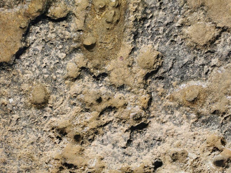 Küste des Mittelmeers lang gefrorene Lava. Hintergrund. Es sieht aus wie eine außerirdische Landschaft lizenzfreies stockbild