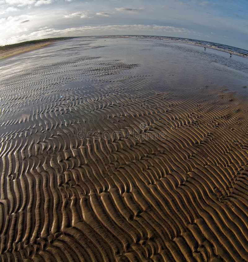 Beautiful baltic seascape. Natural composition of nature. Beautiful baltic seascape. Natural composition of nature.