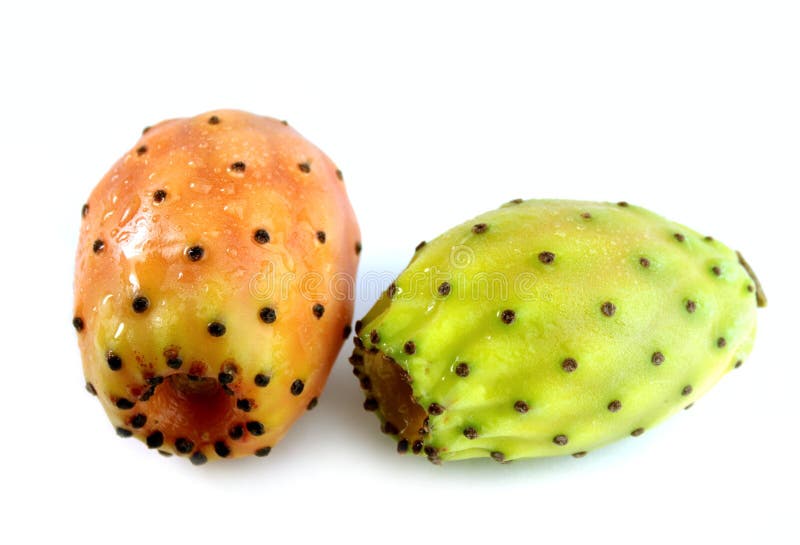 Kłująca bonkreta (kaktusowe figi)