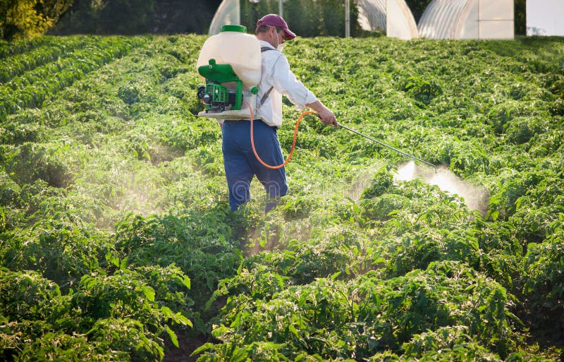 Pulvérisateur De Jardin De Pesticides D'engrais, Arrosoir Et Quelques  Outils De Jardin Sur La Pelouse Avec L'herbe Verte
