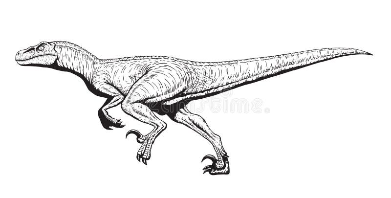 Sistema De Funcionamiento De La Mascota De La Historieta Del Velociraptor  Ilustración del Vector - Ilustración de dientes, abierto: 146024742