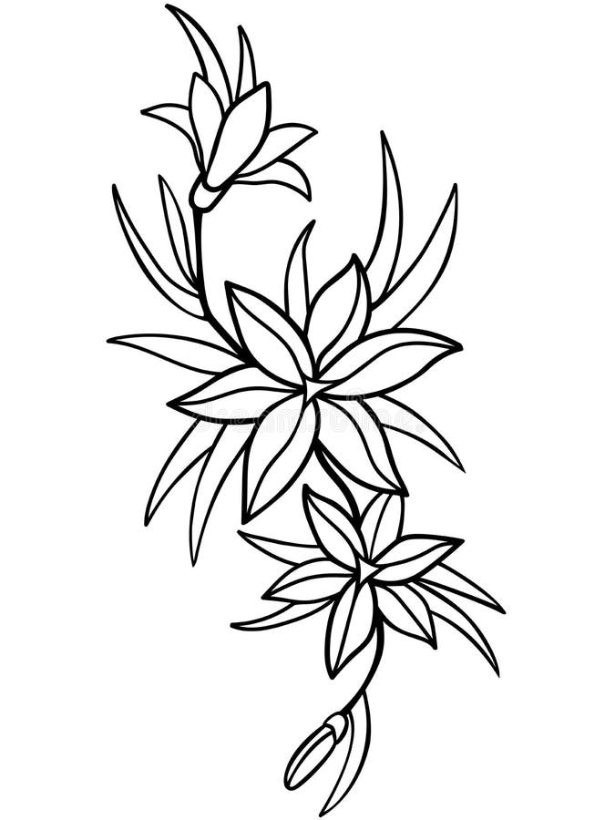 Desenhos para colorir de desenho de uma flor com três folhas para colorir  