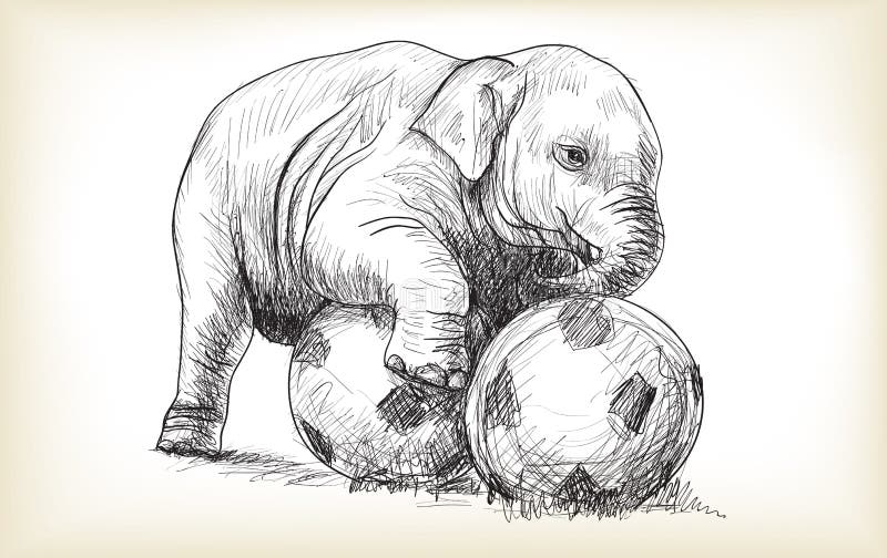 L Elephant De Bebe Jouant Le Football Le Croquis Et La Carte Blanche Dessinent Illustration De Vecteur Illustration Du Elephant Libre L Elephant De Bebe Jouant Le Football Le Croquis Et La Carte Blanche Dessinent Illustration De Vecteur Illustration Du Elephant Libre