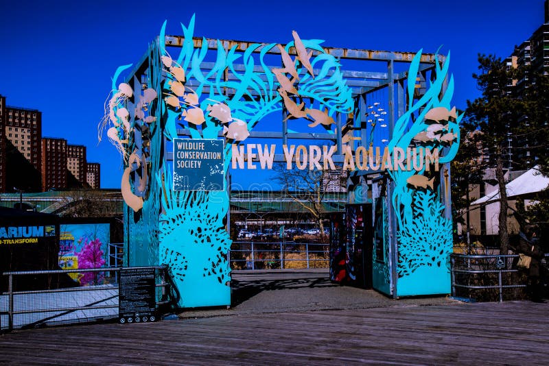 L Acquario Di New York Fotografia Editoriale Immagine Di Locked