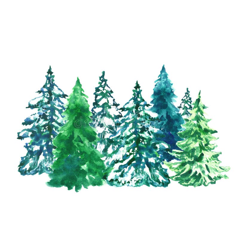 L'acquerello evegreen l'illustrazione dei pini con neve, isolata su fondo bianco Paesaggio della foresta di inverno
