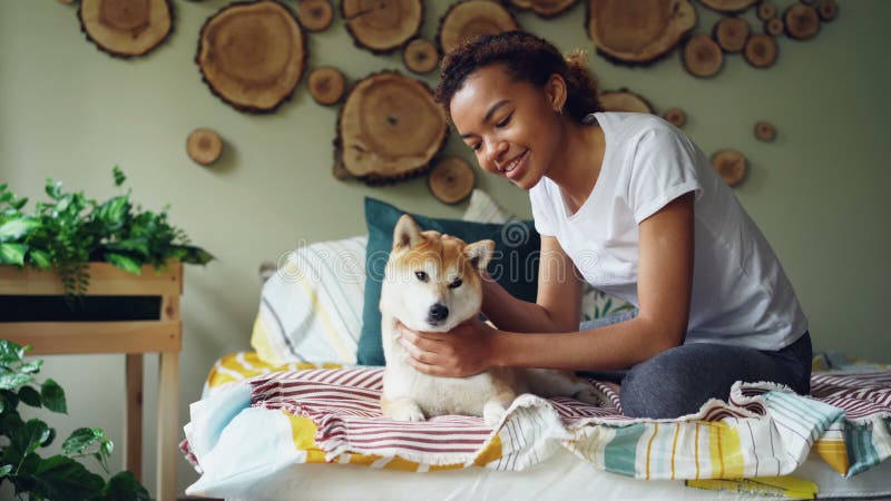 L'adolescente heureuse d'Afro-américain caresse le chien le frottant et embrassant exprimant l'amour et le soin sur le lit dedans banque de vidéos