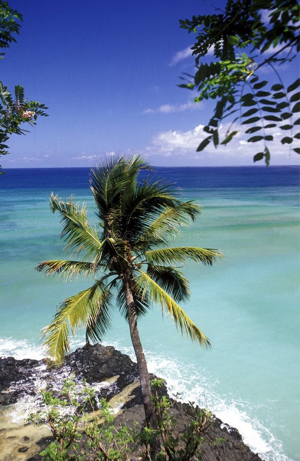 The beach of the village Moya on the Island of Anjouan on the Comoros Ilands in the Indian Ocean in Africa. The beach of the village Moya on the Island of Anjouan on the Comoros Ilands in the Indian Ocean in Africa.