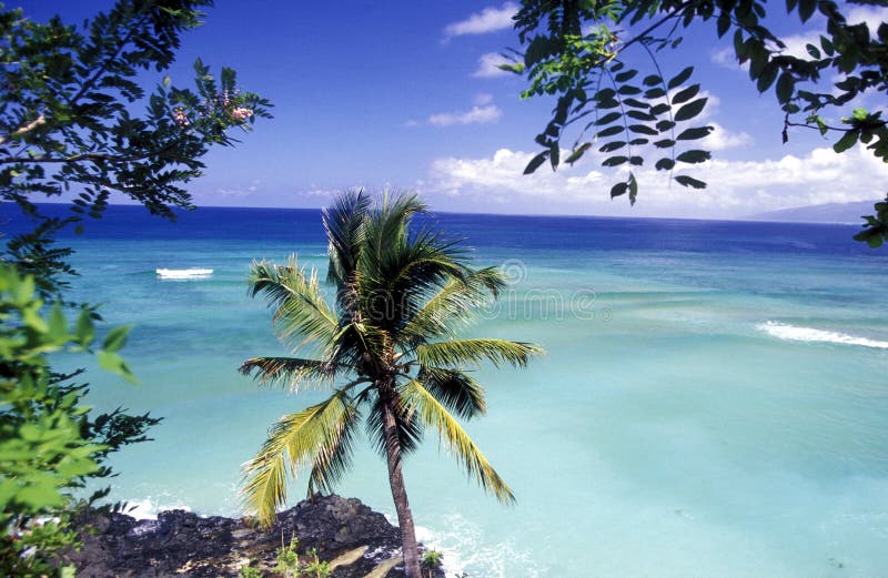 The beach of the village Moya on the Island of Anjouan on the Comoros Ilands in the Indian Ocean in Africa. The beach of the village Moya on the Island of Anjouan on the Comoros Ilands in the Indian Ocean in Africa.