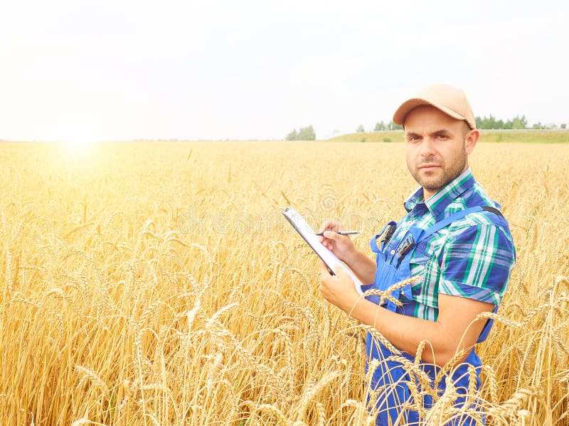 L'agricoltore in una camicia di plaid ha controllato le sue note di scrittura e del campo immagine stock libera da diritti L'agricoltore in una camicia di plaid ha controllato le sue note di scrittura e del campo immagine stock libera da diritti