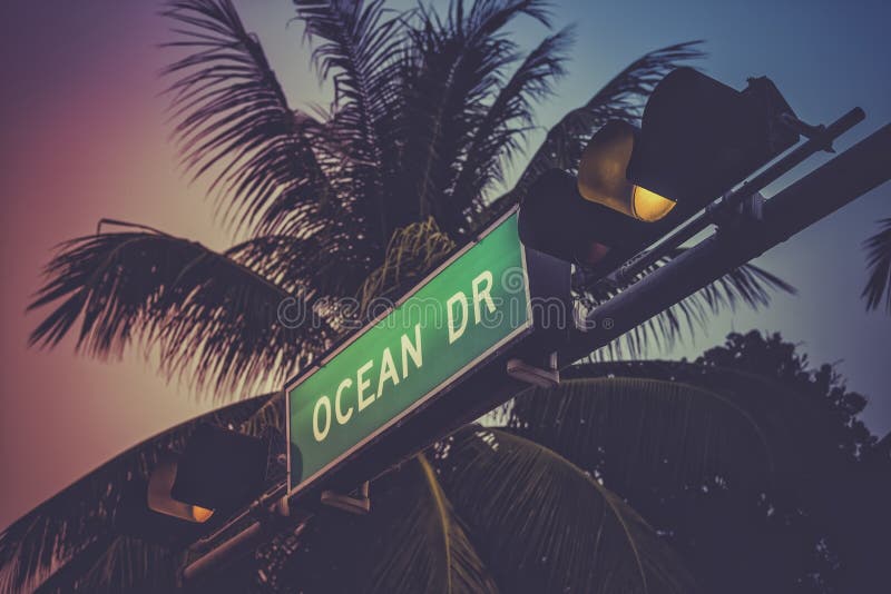 L'albero del cocco contro l'azionamento dell'oceano firma dentro Miami Beach