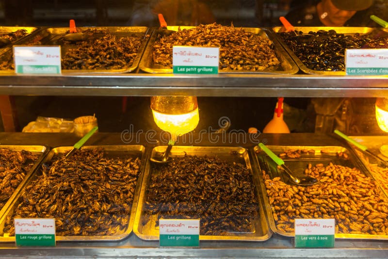 L'alimento della Cambogia, gli insetti fritti, insetti ha fritto sull'alimento della via fotografia stock libera da diritti L'alimento della Cambogia, gli insetti fritti, insetti ha fritto sull'alimento della via fotografia stock libera da diritti