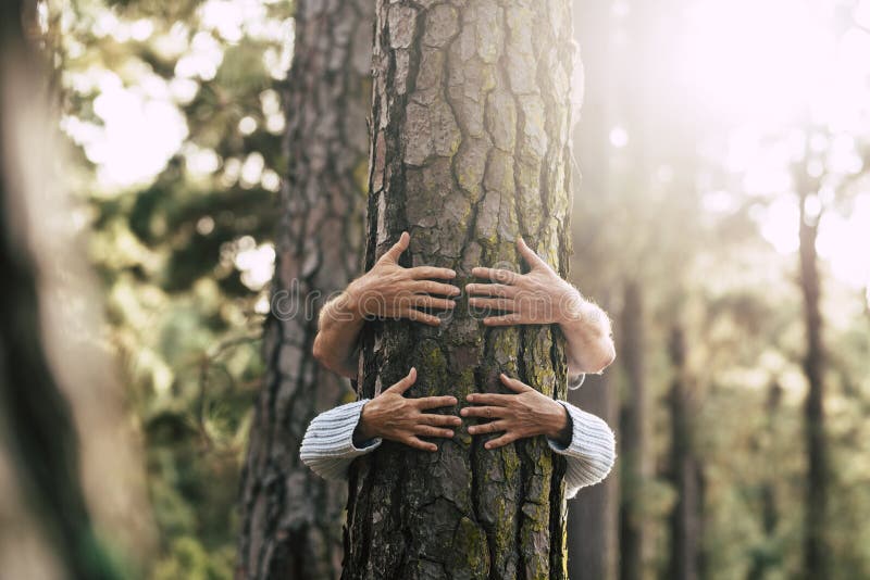 L'ambiente salva il pianeta e blocca il concetto di deforestazione con due persone nascoste che abbracciano con amore un vecchio