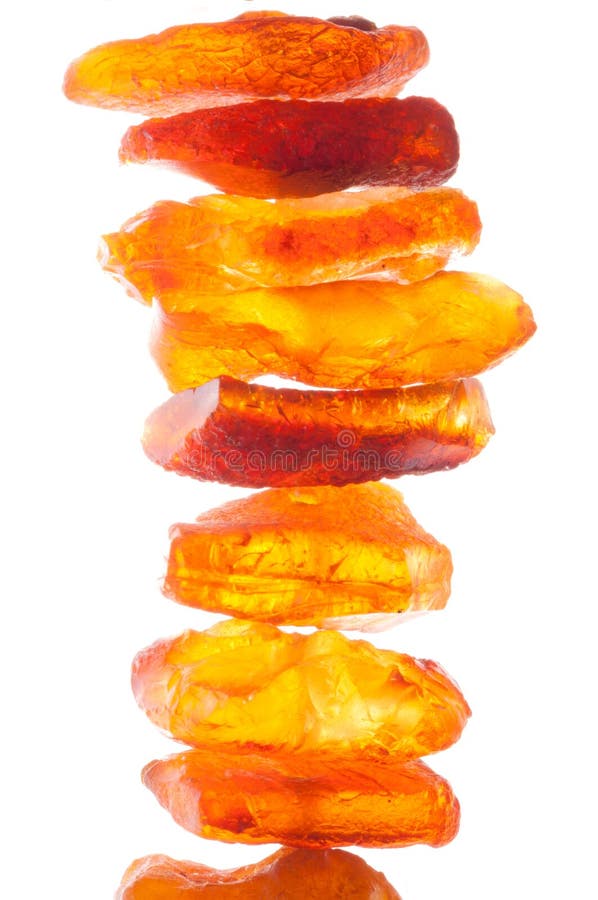 La Toscana Vieta Di Tenere I Cani Alla Catena Tutto L'anno, Non Solo D - Foto 5