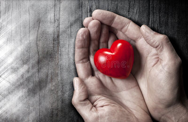 A red love heart held in a pair of hands. A red love heart held in a pair of hands