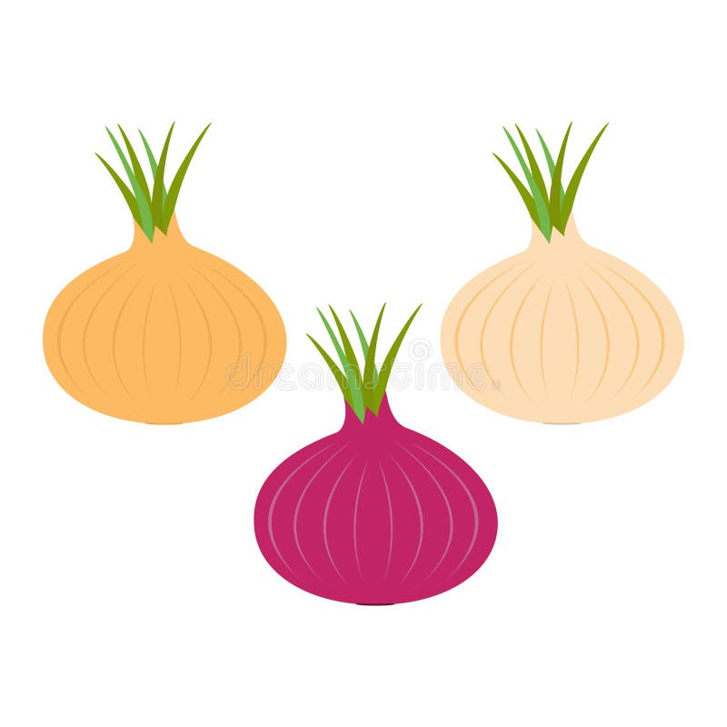 L'ampoule mûre d'oignon a placé avec l'icône verte de pousse couleur jaune rouge Collection végétale Nourriture saine de ferme fr illustration libre de droits L'ampoule mûre d'oignon a placé avec l'icône verte de pousse couleur jaune rouge Collection végétale Nourriture saine de ferme fr illustration libre de droits