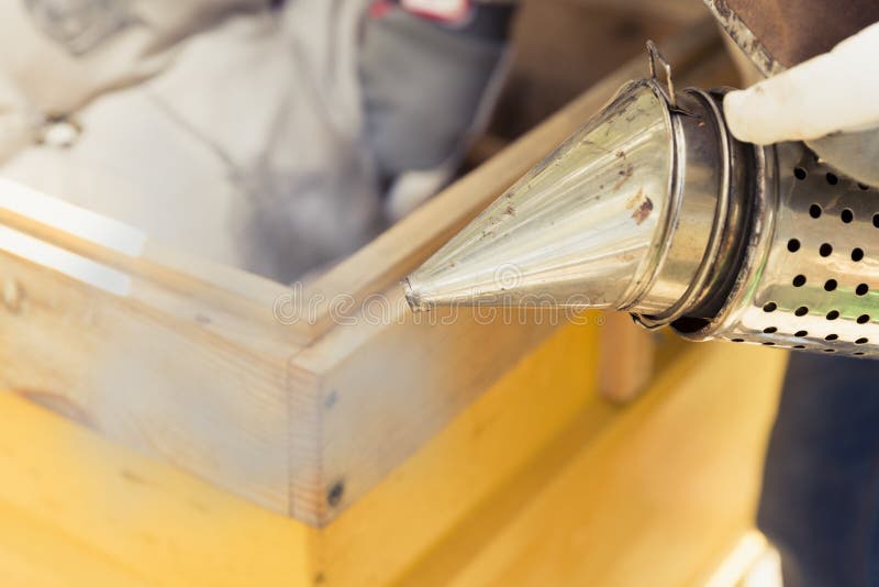 L'apicoltore sta lavorando con le api e gli alveari sull'arnia Il fumatore dell'ape è usato - strumento degli apicoltori per tene immagini stock libere da diritti L'apicoltore sta lavorando con le api e gli alveari sull'arnia Il fumatore dell'ape è usato - strumento degli apicoltori per tene immagini stock libere da diritti